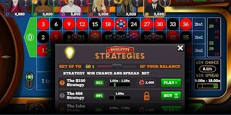 Radhe Exchange Dashboard